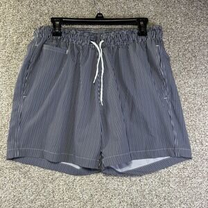 Trunks Surf & Swim Co Shorts Mens 32 Blue White Stripe Swim Trunks Lined Mesh